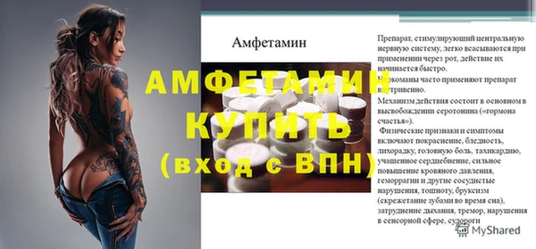 молекула духа Алексеевка