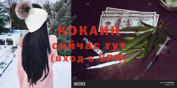 молекула духа Алексеевка