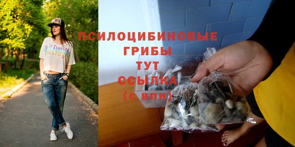 молекула духа Алексеевка