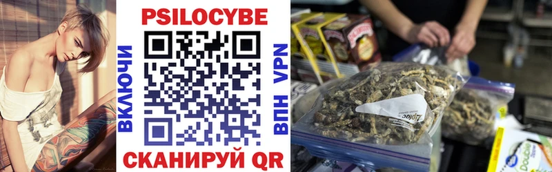 Галлюциногенные грибы Cubensis Чернушка