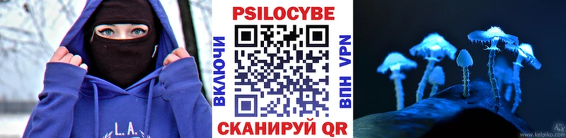 mega вход  Чернушка  Галлюциногенные грибы мицелий 